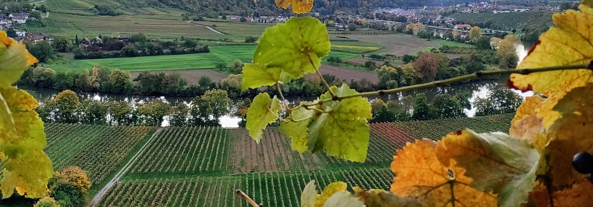 Ficht_Paletten_GmbH_Besigheim-02